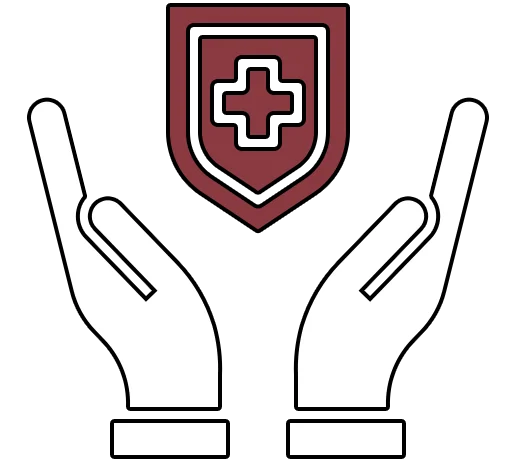 Healthcare icon